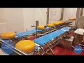 Complete Line for Dividing/Packing Cheese Rings | Ligne de conditionnement de Fromage | SELVEX