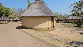 Kruger National Pretoriuskop Camp ~ walk from camping to swimming pool area 👣#krugernationalpark