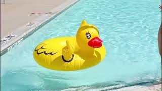 Large rubber duck pool float review!