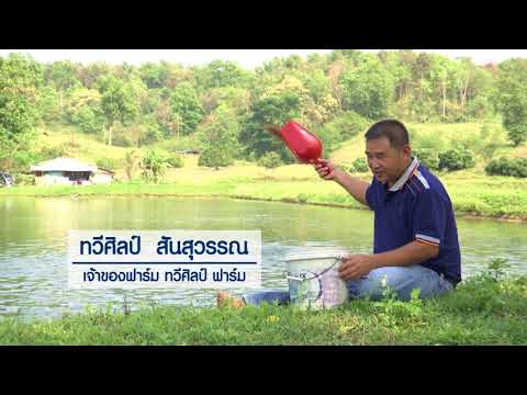 สื่อวิดีทัศน์..คลิก