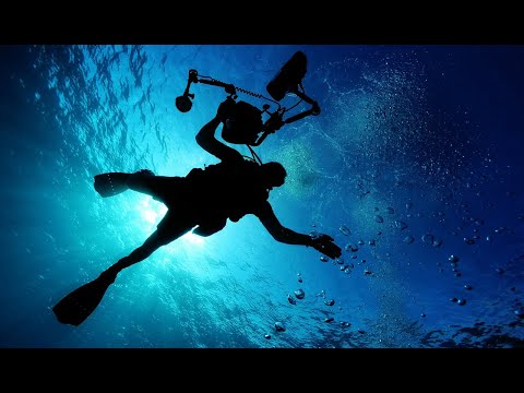 Adventures - A Himitsu - [No Copyright Music]