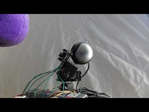 Compound Eye Object Tracking