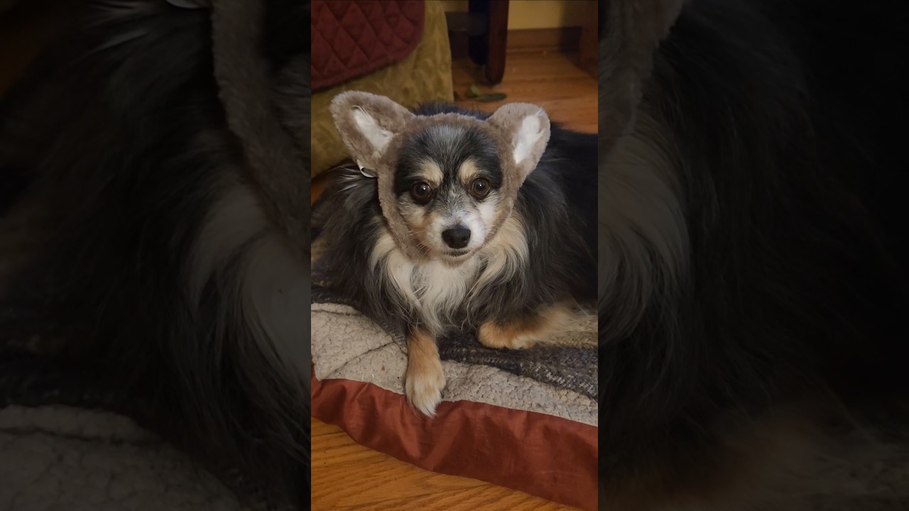 Same word forward and backwards