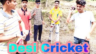 Desi cricket  (funny)