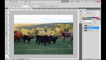 The Unsharp Mask Filter and Sharpening Tool in Photoshop CS5