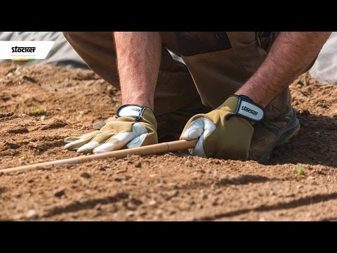 Video: Caratteristiche E Preparazione Dei Semi Di Ortaggi Per La Semina