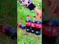 Experiment Coca-Cola and baking soda? Coca-Cola experiment: #experiment#shortsvideo