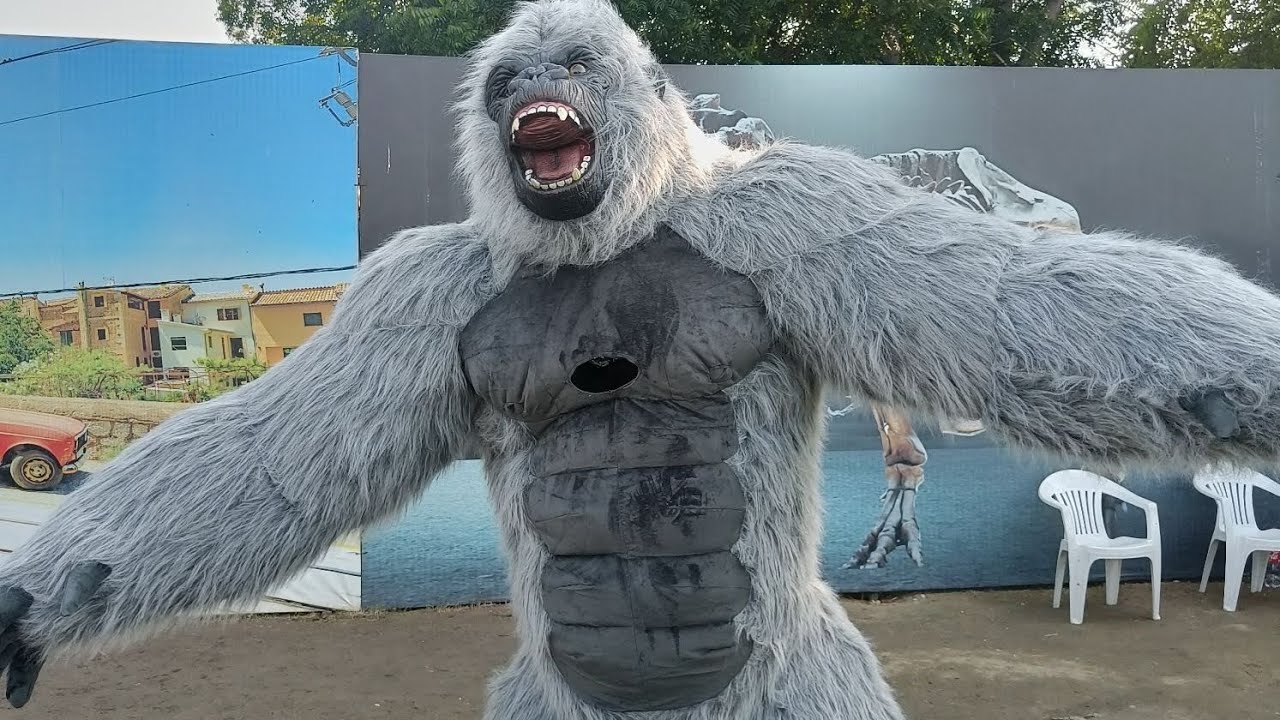 🌹KING KONG SARKARI DANCE 🌹SHALIMAR BAND SINOR 🎼🎼🇮🇳🇮🇳🥁🥁🥁💫💫💫🇮🇳🇮🇳🇮🇳🇮🇳