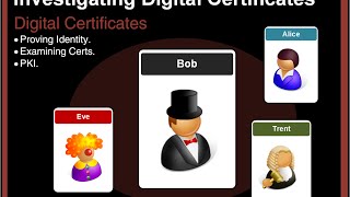 Investigating Digital Certificates: 2. Proving Identity