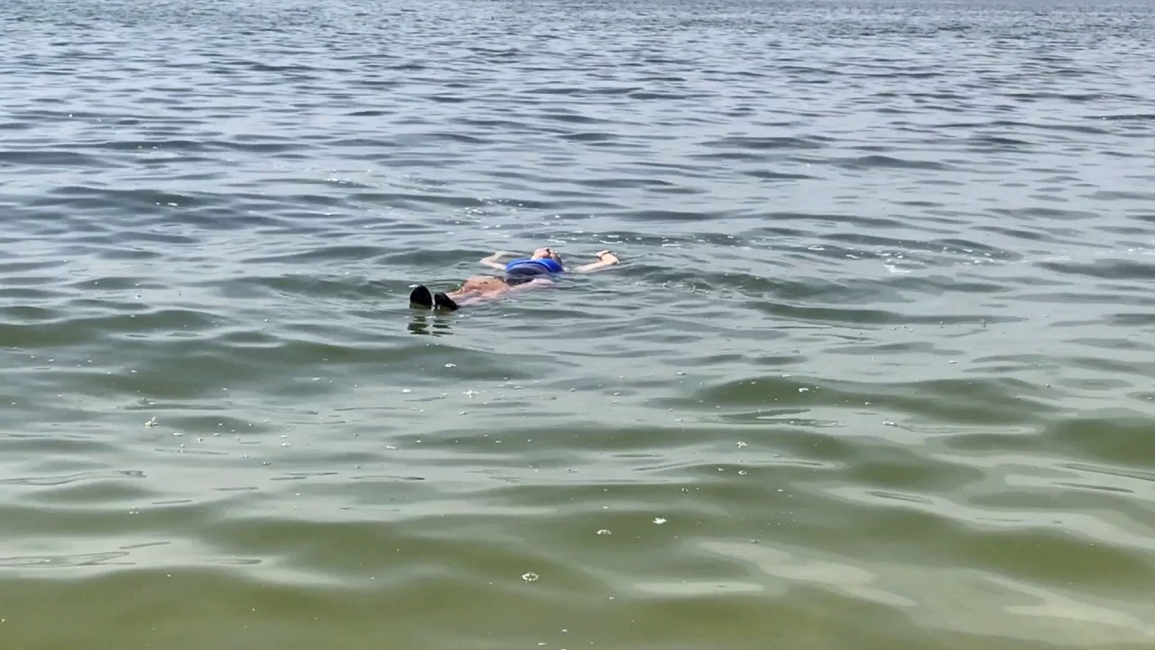 West Meadow Beach - August 28, 2018