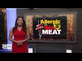 No more steak, burgers? Allergic reaction to red meat linked to ticks found in New England