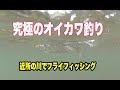 究極のオイカワ釣り　埼玉県入間川 の動画、YouTube動画。