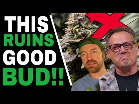 Don’t Harvest Your Plants Until You Know THIS