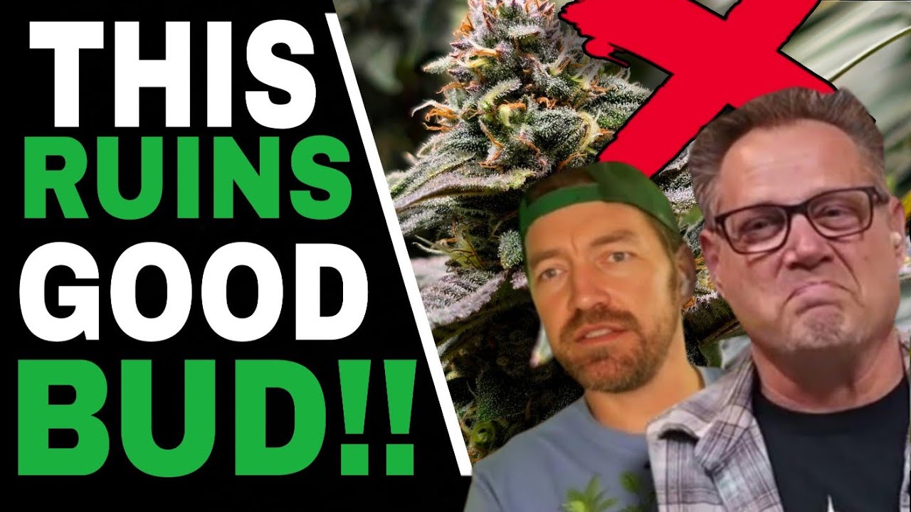 Don’t Harvest Your Plants Until You Know THIS