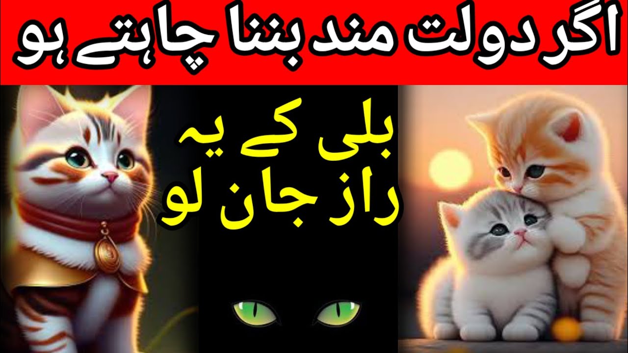 Dolat Chahtey ho tu Billi ke Ye Raaz Jan Lo | डोलत चाहते हो तू बिल्ली के ये राज़ जान लो