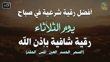 أفضل رقية شرعية في صباح يوم الثلاثاء علاج الحسد_السحر_العين _حفظ وتحصين للمنزل _القارئ علاء ياسر