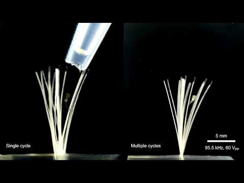 Ultraschall und künstliche  Muskeln