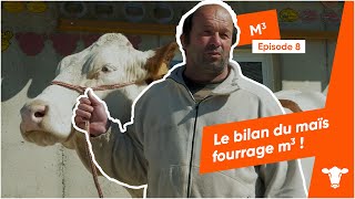 M³ épisode 8 : Le bilan du maïs fourrage M³ ! screenshot 3