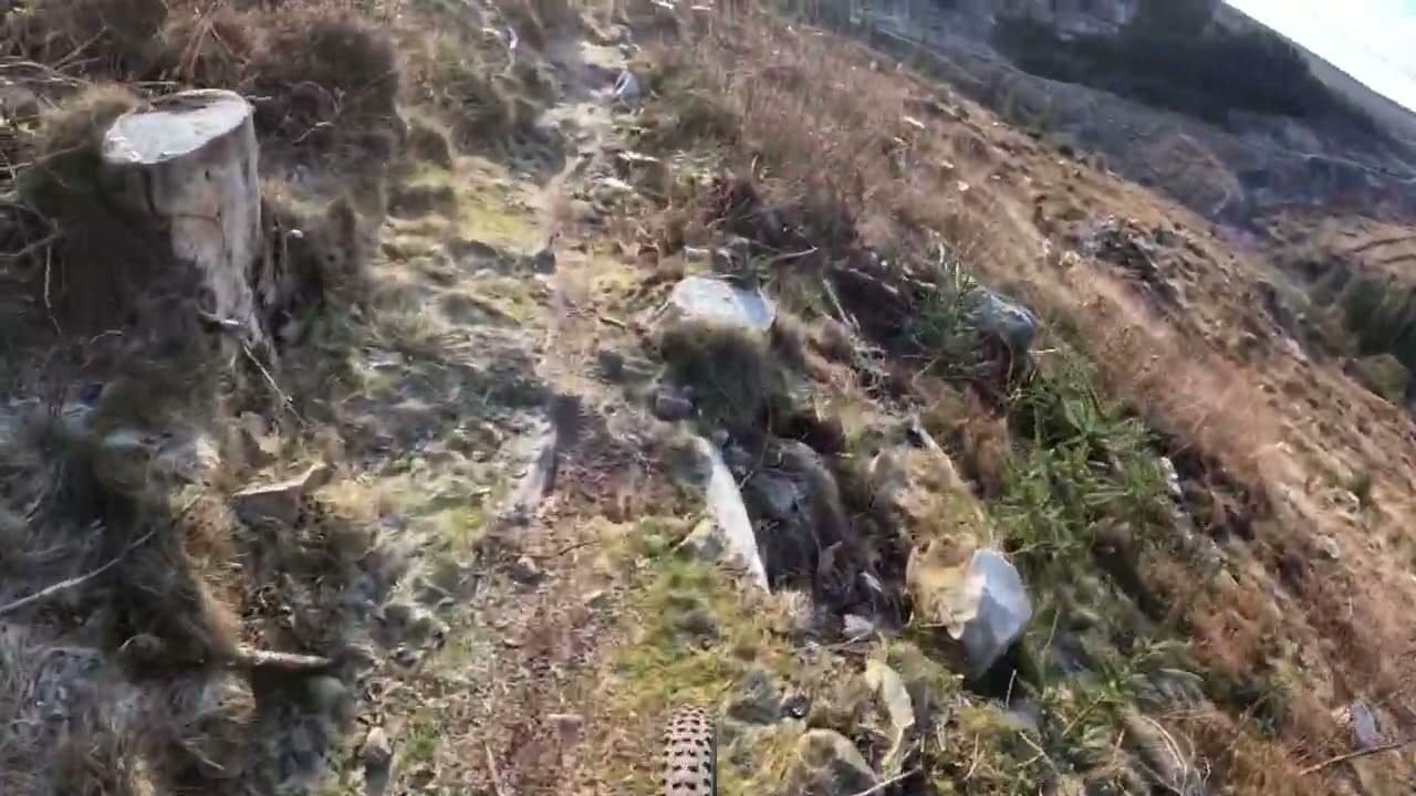 Ae Forest MTB Craigshields/Rolling Stone