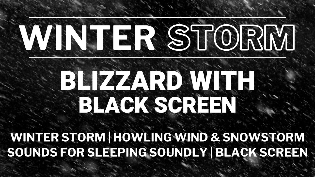 Winter Storm | Howling Wind & Snowstorm Sounds for Sleeping Soundly | Black Screen