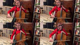 VANUATU | Les échassiers (The Tattlers)