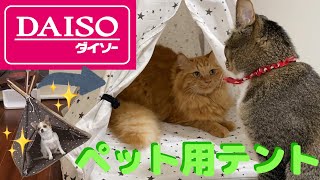 DAISOのペット用ベッドを猫達がレビュー！！【DAISO】