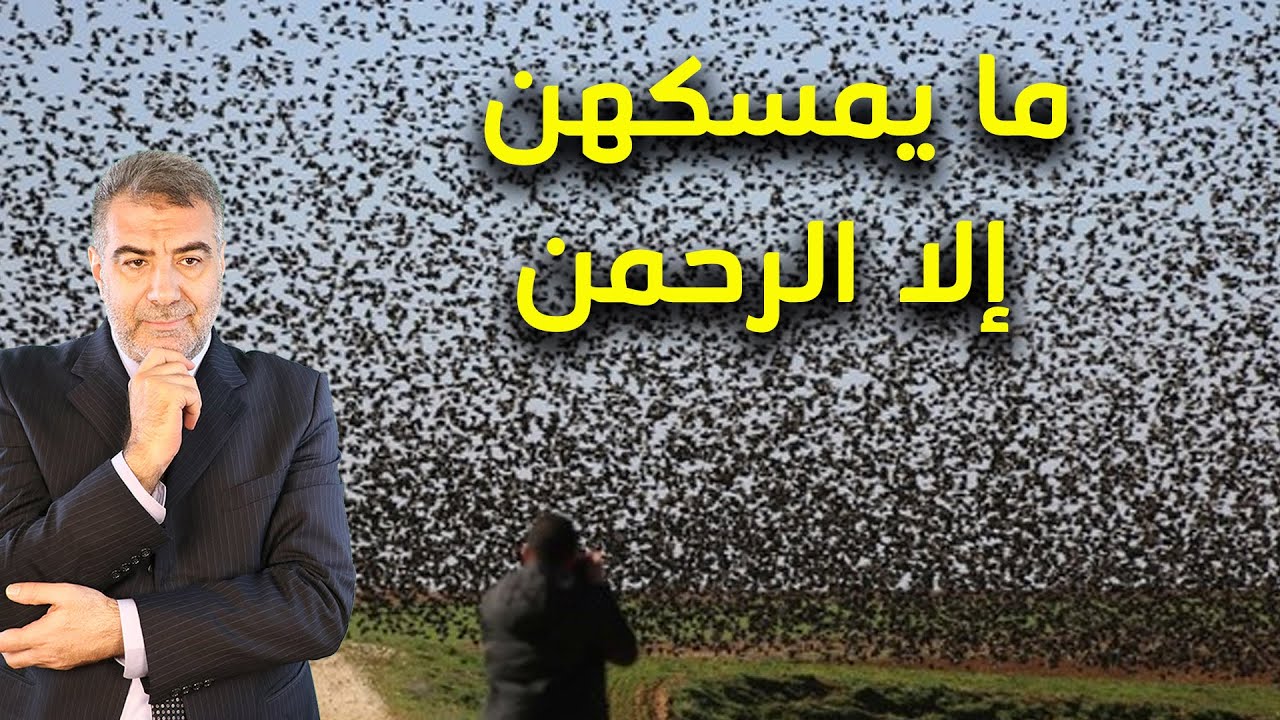 ما يمسكهن إلا الرحمن - مشهد يذهل الباحثين | عبدالدائم الكحيل