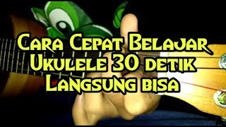 Cara Belajar Ukulele Kentrung Dengan Cepat 30 Detik Langsung Bisaa !!! Dijamin
