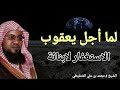لما أجل يعقوب الاستغفار لأبنائة حتي الليل من اروع القصص الشيخ الشنقيطي 