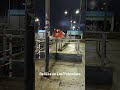 BELLEZA ROJA #viral #parati #fyp #short #shorts #train #fypシ #funny #viralvideo #video #viralshort