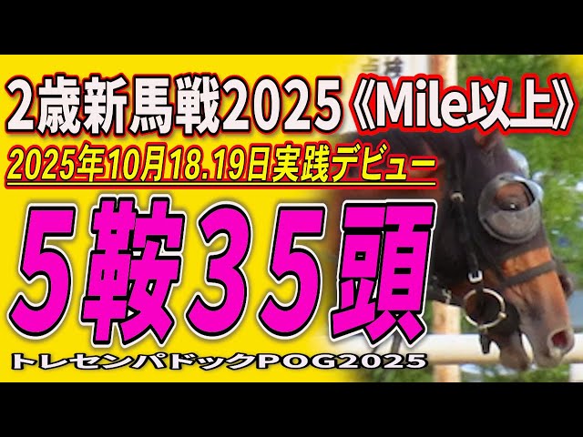 2-Year-Old Maiden Race 2025] 35 young horses competing in 5 races