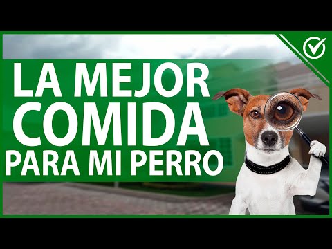 Video: ¿Es bueno condimentar los alimentos secos para perros con alimentos enlatados?