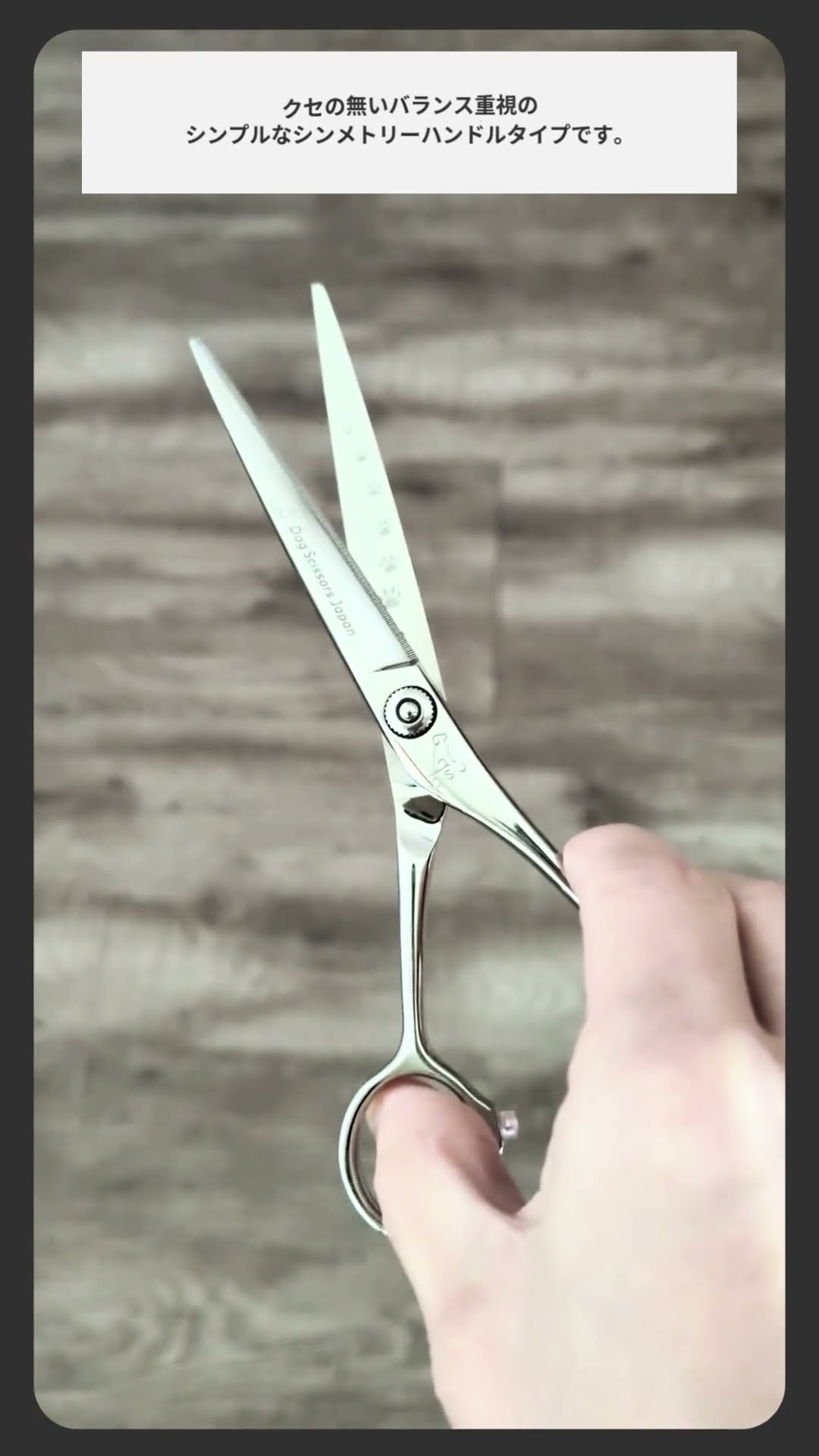 ドッグ シザーズ ジャパン (DOG SCISSORS JAPAN) クウ(Kuu) DTJ-60S