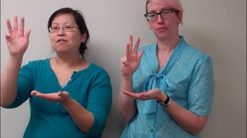 Tiny Tots Early Learning - Fingerplay: Here Is The Bee Hive