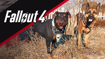 Fallout 4: How to get Junkyard Dog (+5 settlement defense)