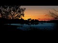 free . sunset Lake landscapes trees nature branches sky Hd