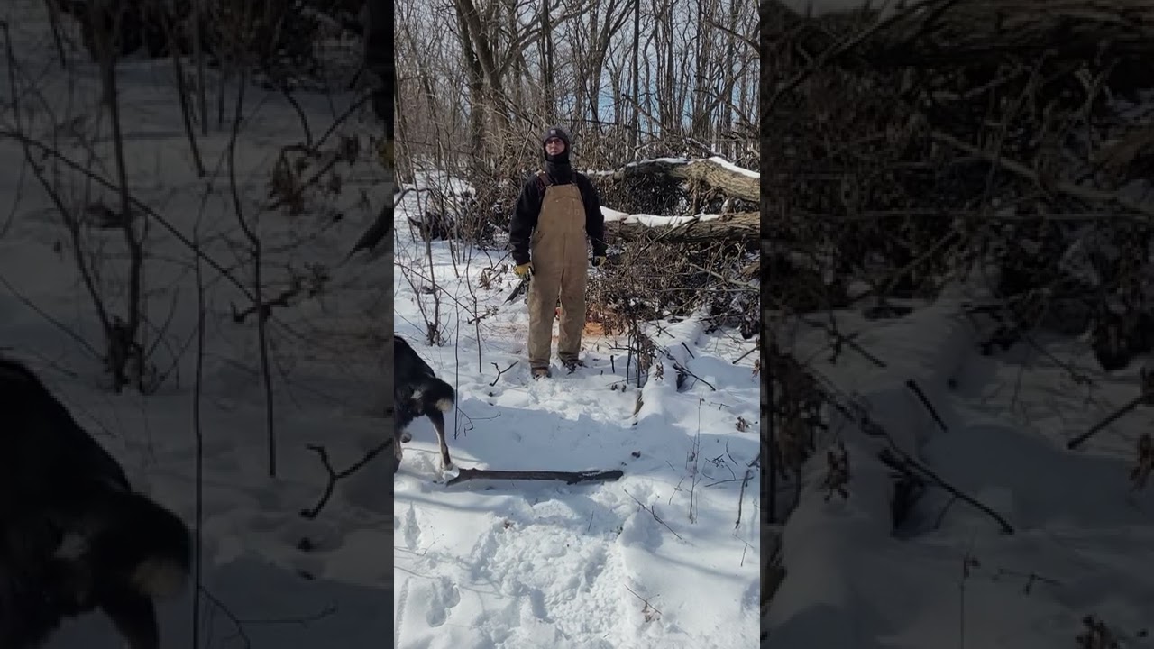 Sustainability Beyond the Workplace