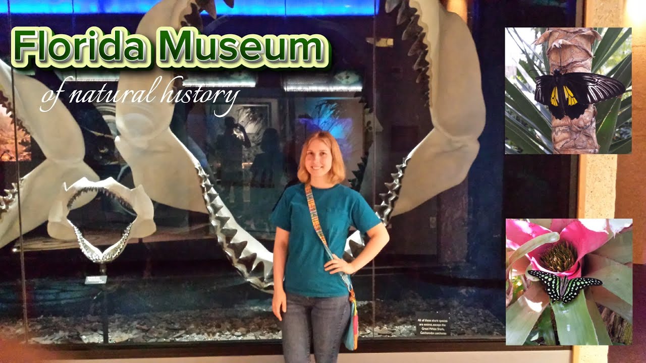 Florida Museum of Natural History (PHOTO MONTAGE)