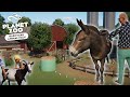 All animals all animations  barnyard animal pack overview at bobs petfarm
