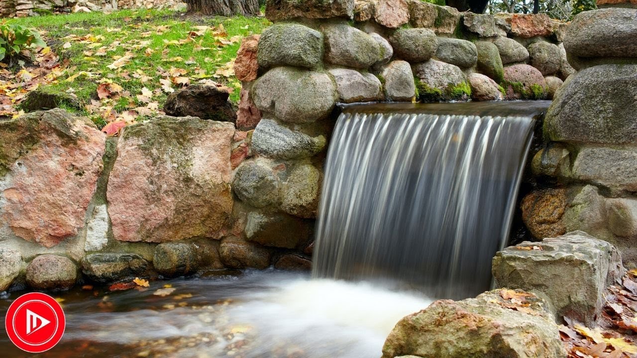 Sleep Music - Spring Forest Sounds And Relaxing Bird Singing For Sleeping | DM Music