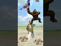 Flying Crying Babies Catching Vs Me Danching Gorilla Cute Dadi Parrot Funny Magic Video Shorts 