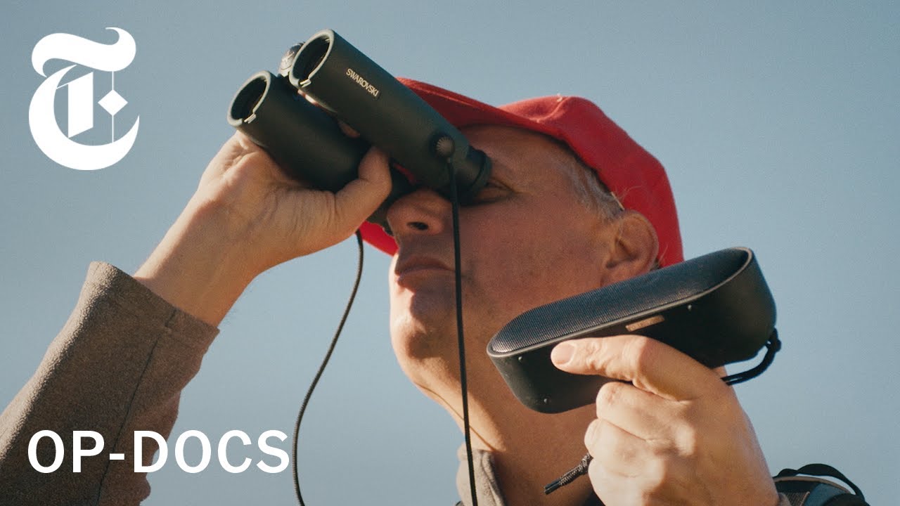 Documentary backdrop image for He Knows New York City Birds Best (2021)
