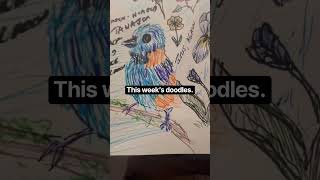 Doodles: This week’s sketchbook page.
Every week, I fill out a page in my sketchbook with ballpoint pen doodles. Doodles: This week’s sketchbook page.