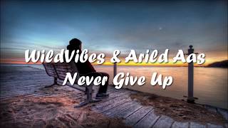 WildVibes & Arild Aas - Never Give Up [Lyrics]