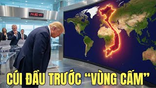Download Lagu Trump Tuyên Bố \ MP3
