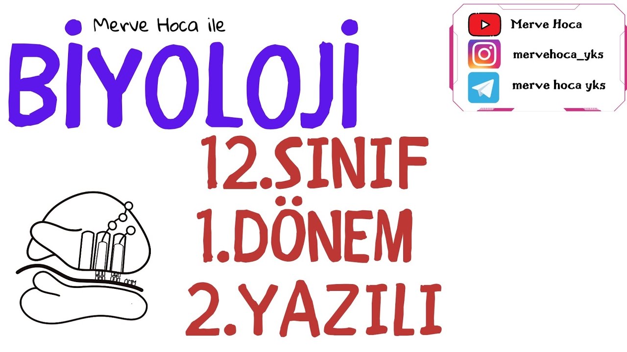 12.Sınıf Biyoloji 1.Dönem 2.Yazılı Hazırlık Çalışması