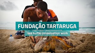 Fundação Tartaruga - sea turtle conservation work (Turtle Foundation)