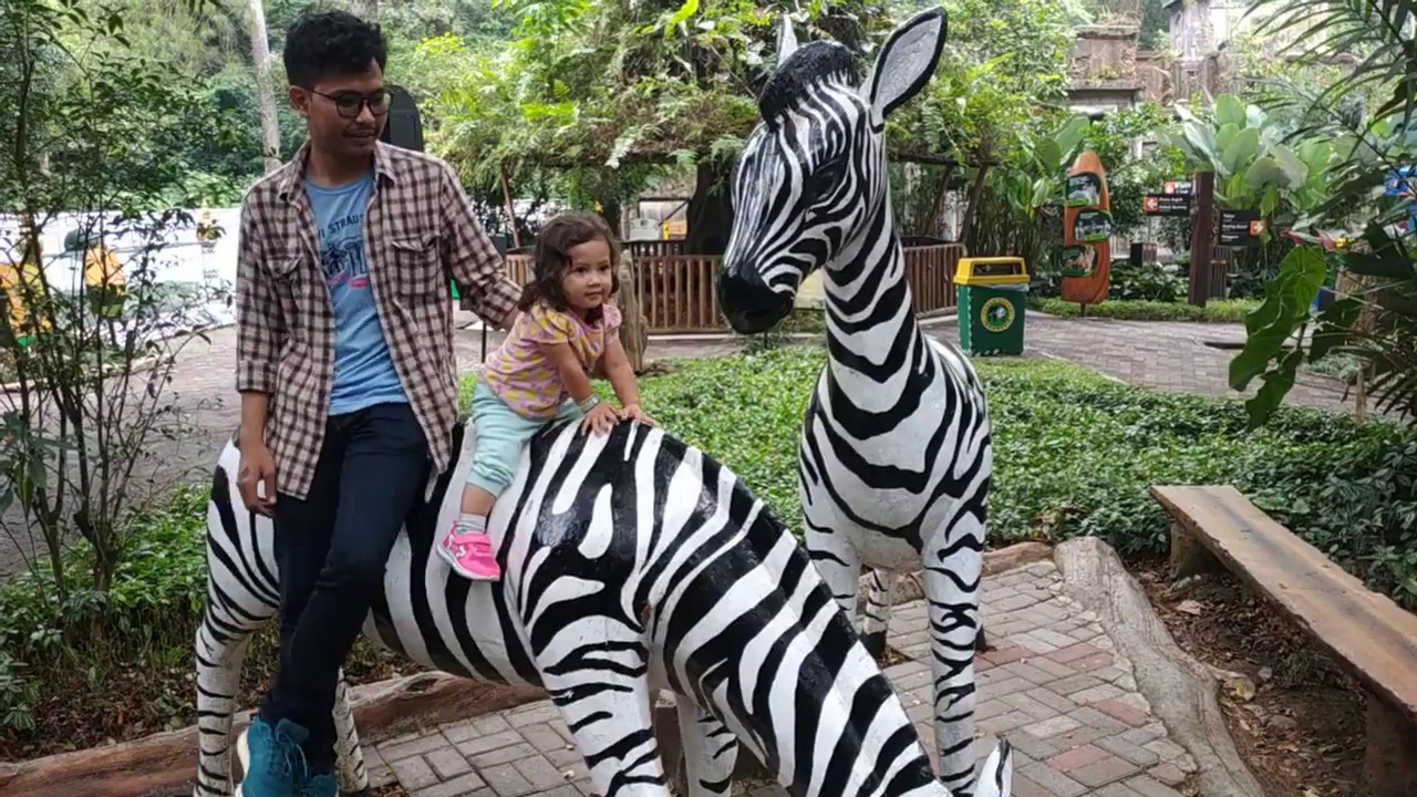 Baby Zoo Taman Safari (Part 3) - YouTube