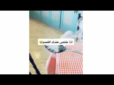 اذا خلص الفحم عندك بديل الفحم للبخور