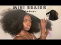 Natural Hair Mini Braids Take Down| ASMR Bushing Video